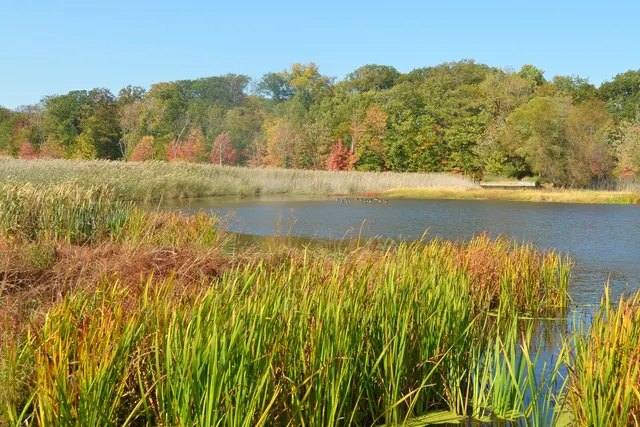 Autumn wetland and pond at Mentor Marsh Nature Preserve in Mentor, Ohio